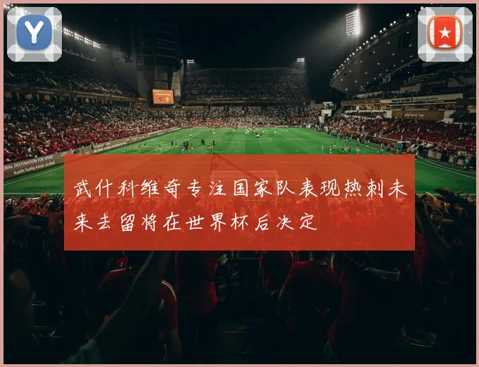 武什科维奇专注国家队表现热刺未来去留将在世界杯后决定